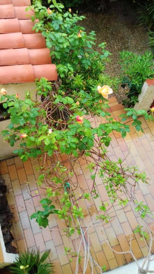 Maison Charmante A Sainte-Marie Avec Grand Jardin Dış mekan fotoğraf